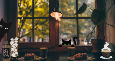 10 Air-Conditioned Pet-Friendly Cafés/Restaurants in Singapore 10 Air-Conditioned Pet-Friendly Cafés/Restaurants in Singapore