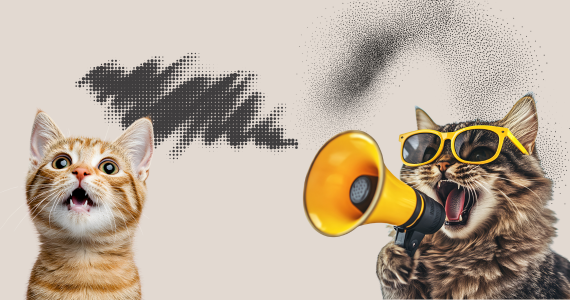 10 Everyday Things That Stress Out Your Cat (Even If You Don’t Realise It) 10 Everyday Things That Stress Out Your Cat (Even If You Don’t Realise It)