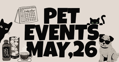Singapore Pet Events This May: Where to Bring Your Pet Without Feeling Overwhelmed