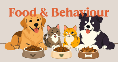 Can Nutrition Affect Your Pet’s Behaviour? What New Pet Owners Should Know