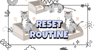 Cat Peeing Outside the Litter Box? Here’s How to Reset the Routine (and What to Tell Your Vet) Cat Peeing Outside the Litter Box? Here’s How to Reset the Routine (and What to Tell Your Vet)