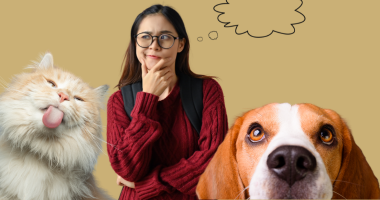 What Every New Pet Owner Should Know