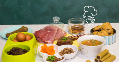 Cooking Meat for Your Pet: Safe, Healthy & Balanced Tips Cooking Meat for Your Pet: Safe, Healthy & Balanced Tips