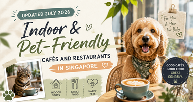 Updated July 2026 Guide: Indoor & Pet-Friendly Cafés and Restaurants in Singapore