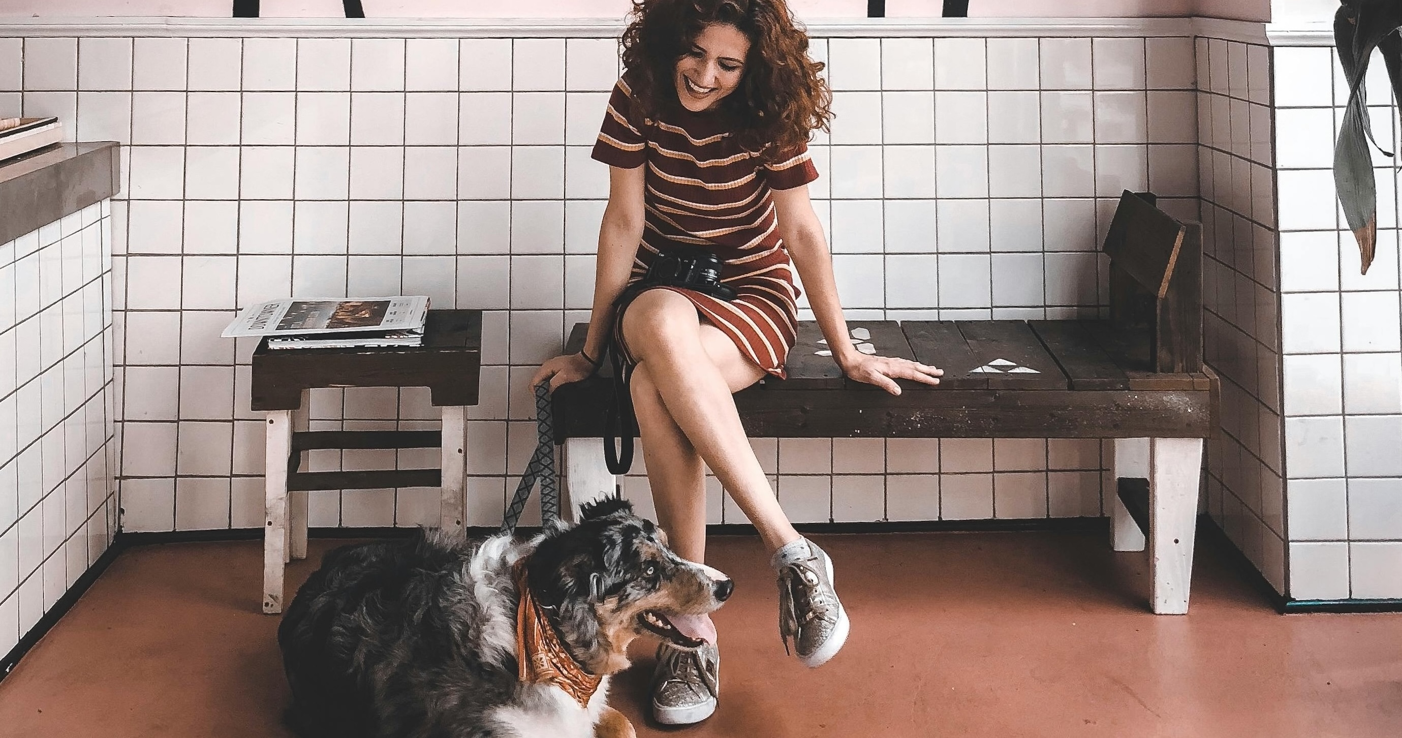 Brunch & Belly Rubs – 10 Indoor Cafes That Love Your Pet Back Brunch & Belly Rubs – 10 Indoor Cafes That Love Your Pet Back